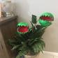 DIY Venus Fly Trap Decoration event image