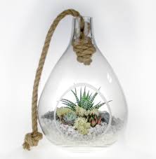 Curvy Teardrop Glass And Rope Terrarium Kit The Art Of Succulents Terrariums Kits Terrarium Hanging Terrarium