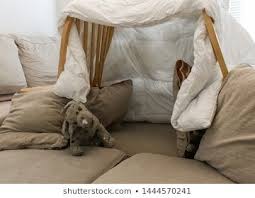 A Pillow Fort Made Of Blankets Chairs With A Stuffed Animal In The Living Room Great For Kids Watching Movies Pillow Fort Kids Interior Room Pillows