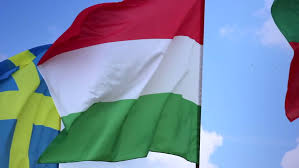 Schon scored for hungary and celebrated but the flag was up. Flags Of Sweden Hungary Bulgaria Stock Footage Video 100 Royalty Free 4201705 Shutterstock