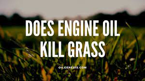 Does Engine Oil Kill Grass All You Need To Know Oil Genesis