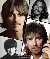 On November 29 , 2001 , the world said goodbye to George Harrison .