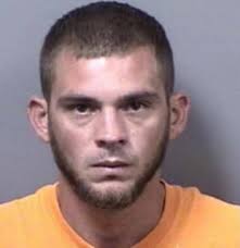 ᐅ Domestic Violence Registry