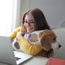 Activities To Keep Your Dog Distracted While You Work From Home Nature Of The Dog Download and add one of these awesome dog backgrounds to your desktop. activities to keep your dog distracted