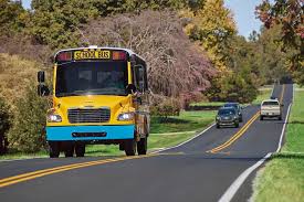 Image result for School Bus Yellow 2018 Fleet