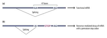Worksheets can be translated as perform courses for students in facilitating learning. What Is Rna Editing Quizlet