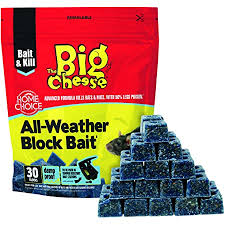 What rat poison is the best: Pest Expert Formula B Advanced Rat Killer Poison Bait Blocks Single Feed Max Strength 600g 2 Professional Rat Bait Boxes Amazon Co Uk Garden Outdoors