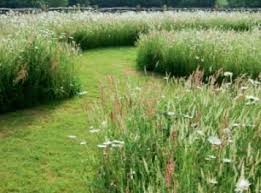 Here presented 55+ garden drawing images for free to download, print or share. Contemporary English Garden Design Mow Pathway Like This In Our Meadows Contemporary Design English English Garden Design English Garden Meadow Garden