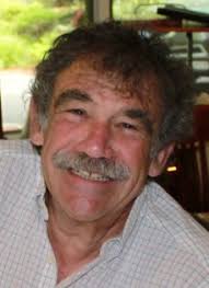 Amazon.com: The Startup Owner's Manual: The Step-by-Step Guide for Building  a Great Company: 9780984999309: Blank, Steve, Dorf, Bob: Books