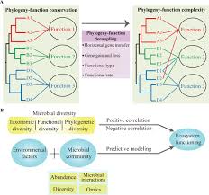 These are large, vesicles filled with fluid, within the cytoplasm of a cell. Microbial Assembly Interaction Functioning Activity And Diversification A Review Derived From Community Compositional Data Springerlink