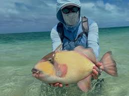 Had the pleasure to fish with my good pal @tom.larimer this past long  weekend. Love to be in the bleachers watching him do his thing! #flyfishing  #artofangling #doingitright #godlight