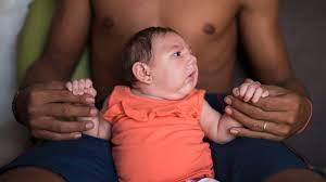 62 symptomatic zika virus disease cases reported* Zika Virus Who Warnt Vor Zika Ausbreitung In Fast Ganz Amerika Der Spiegel