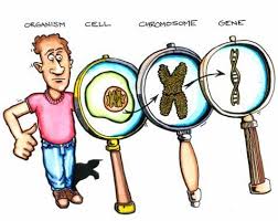 Dna Is Like An Alphabet Analogies Dna And Genes Biology Genetics