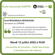 Image result for Syzygium rowlandii