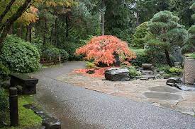 Fiery Tree Japanese Garden Garden Photo