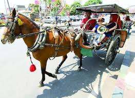 10 Macam Sumber Daya Alam Beserta Contoh Dan Manfaatnya Autoexpose
