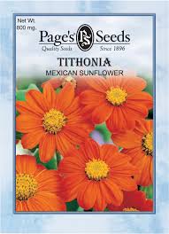 Image result for Tithonia