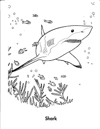 Check spelling or type a new query. Free Printable Shark Coloring Pages For Kids