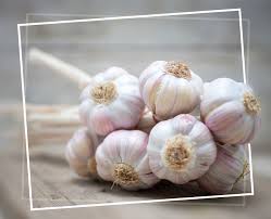 That means it's not at its prime, rachael answers. 9 Health Benefits Of Having Garlic On An Empty Stomach