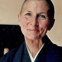 The Fruitful Darkness: A Journey Through Buddhist Practice and Tribal  Wisdom by Joan Halifax