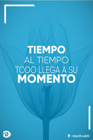 Tiempo Al Tiempo Todo Llega A Su Momento Vive Hoy Pedidos 01 249 426 1661 01 249 422 4217 Tipssa Frases Motivadoras Frases Sabias Frases Positivas