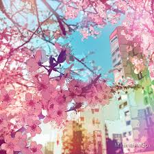The Pink Spring In Tokyo A Beautiful Design With Fantastic Pink Sakura Flowers And Tokyo Center Buildings Shops A In 2021 Aesthetic Japan Anime Flower Aesthetic Anime