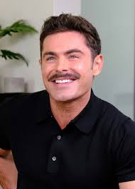 Public service announcement: the original High School musical cast are  reuniting