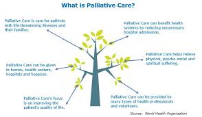 The palliative care consist of comprehensive care in an individualized way and over time to patients (and their families) suffering from a terminal illness. Palliative Care Comes Of Age Spryte Communications