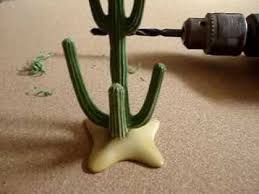 Common cactus problems and how to fix. How You Can Fix A Broken Cactus Youtube