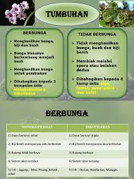 A) akar serabut b) akar tunjang 3) apakah ciri jenis batang bagi pokok durian? Tumbuhan