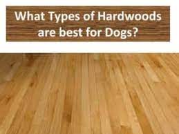 We did not find results for: Best Hardwood Flooring For Dogs