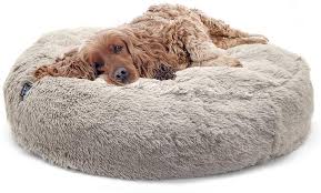 Now, this sort of dog bed absolutely isn't suitable a cave bed is essentially a regular dog bed with a roof. 5 Cozy Dog Cave Beds For Australians Dogs Of Australia