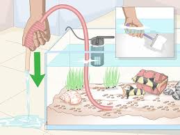 There are many options for you to choose from, depending on your aesthetic preferences and budget (as well as the amount of work you want to do). 3 Ways To Set Up A Coldwater Aquarium Wikihow