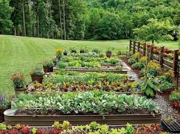 Big Vegetable Garden Home Vegetable Garden Front Garden Design Organic Vegetable Garden