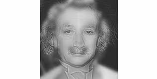 Do you see Albert Einstein or Marilyn Monroe? The test that may show how  good your vision is