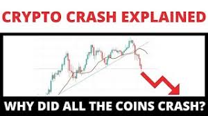 Now the crypto believers think bitcoin will keep going to 1c a satoshi or $1 million a bitcoin. Why Did The Crypto Market Crash Cryptocurrency Crash 2021 Explained Youtube