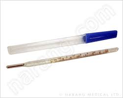 The silver tip on the end of the thermometer is about ½ inch. Mercury Thermometer Buy Mercury Thermometers Clinical Thermometers Fever Thermometer Medical Thermometers Buy Mercury Thermometers Online