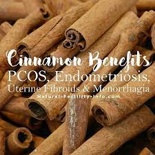 Naturalfertilityinfo On Instagram Cinnamon Cinnamomum Spp Is One Of The World S Most Beloved Sp Heavy Menstrual Bleeding Endometriosis Fertility Vitamins