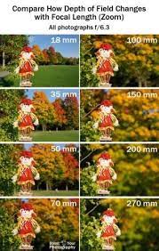 Depth Of Field It S More Than Just Aperture Compare How Dof Changes With Focal Length Digital Photography Lessons Photography Basics Photography Techniques