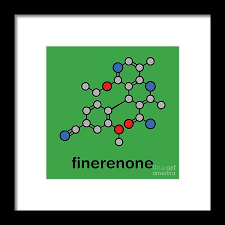Image result for Finerenone