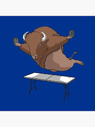 Real Buffalo Bills Mafia Buffalo Bills Superfan Table Dive Design Postcard By Stayfrostybro Redbubble