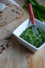 Pesto A L Ail Des Ours Ail Des Ours Recette Pesto Pesto
