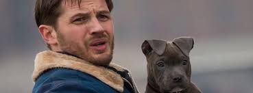 Read common sense media's the money pit review, age rating, and parents guide. The Drop Where To Watch Streaming And Online Flicks Com Au