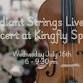 Radiant Strings Live - In Concert at Kingfly Spirits