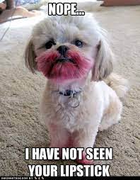 14 Memes About Red Lipstick Nudes And More Ultima Status