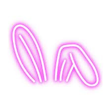 Freetoedit Ears Bunny Rabbit Bunnyears Rabbitears Neon Pink Neon Neon Pink Stickers