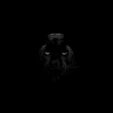 Collection Of Excellent Dark Wallpapers