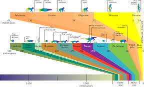 Crude oil and petroleum are interchangeably used to indicate hydrocarbon fossil fuels. How Is Petroleum Formed Norwegianpetroleum No