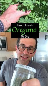 Cooking Class:, A simple way to harvest and preserve fresh oregano., If you  cook with spices, pick them as fresh as you can before drying!, #harvest  #garden #oregano ##preservingfood #gardening ...