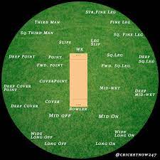 While the basic principle is the same, the two games differ in their rules, terminology, playing equipment, number of players, field size etc. Basic Cricket Fielding Positions Cricket Wallpapers World Cricket Cricket Quotes